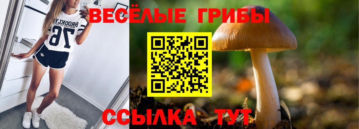 Псилоцибиновые грибы GOLDEN TEACHER Набережные Челны
